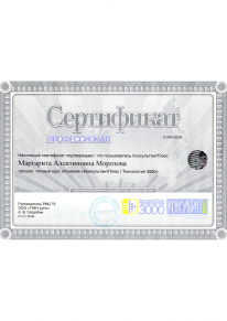 Консультант +